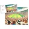 Pride Park Stadium Fine Art Jigsaw Puzzle - Derby County FC